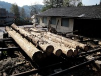 ŽAGARSTVO IN MIZARSTVO CAPUDER JUTERŠEK ANA s.p.- LUKOVICA-POISCI ME