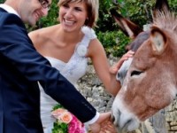 Turistična kmetija TONIN - Pucer Luka- Šmarje-POISCI ME