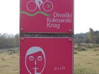APARTMAJI TURIST-DOMAČIJA LOJTRNIK d.o.o.-SENOŽEČE-POISCI ME