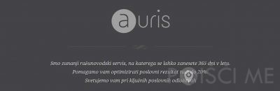 AURIS, računovodske storitve, Monika Bele s.p. Radomlje
