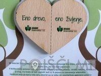 ZAVAROVALNO ZASTOPANJE GRAWE, Sabina Rajh, s.p.-POISCI ME