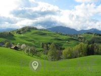 TURISTIČNA KMETIJA LJUBICA, Poljane nad Škofjo Loko