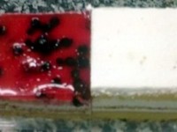 Bistro Admiral Koper