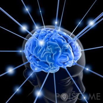 human-mind