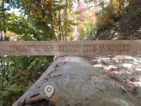 MIZARSTVO,GRAVIRANJE, LESENE KONSTRUKCIJE,LK PRIMOŽ ŠINKOVEC S.P.-POISCI ME