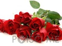 roze zare KAMNOSEŠTVO GAŠPER MIKOLIČ S.P.-POISCI ME