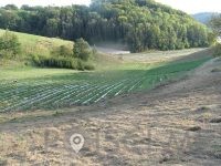 Pridelava in prodaja sadja, vinogradništvo - Darsad d.o.o.-POISCI ME