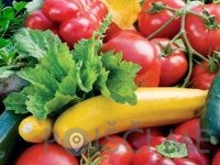 Pridelava in prodaja sadja, vinogradništvo - Darsad d.o.o.-POISCI ME