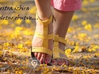 ŽENSKA, MOŠKA OBUTEV, TRGOVINA VISOKA PETA d.o.o.-GROSUPLJE-POISCI ME