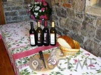 TURISTIČNA KMETIJA NA HRIBU PETRA PILIH ŽORŽ S.P.-Vipava-POISCI ME