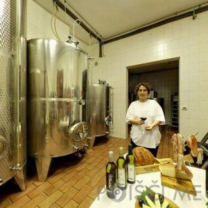 TURISTIČNA KMETIJA NA HRIBU PETRA PILIH ŽORŽ S.P.-Vipava-POISCI ME