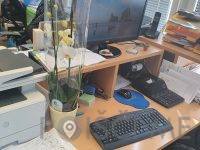 SERVIS ENKA RAČUNOVODSTVO IN KNJIGOVODSTVO, HRIBŠEK URŠKA S.P.-Hrastnik