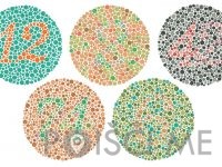 OČALNA OPTIKA NOVAK MARJANA, S.P.-Senovo-POISCI ME