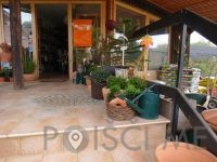 Vrtnarstvo in Urejanje okolice, PRO HORTO d.o.o.-LJUBLJANA-ČRNUČE-POISCI ME