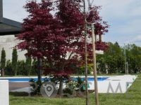 VRTNI CENTER PRO HORTO d.o.o.