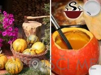 OLJARNA IN MEŠALNICA Jeruzalem SAT d.o.o.-Središče ob Dravi