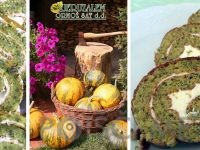 OLJARNA IN MEŠALNICA Jeruzalem SAT d.o.o.-Središče ob Dravi