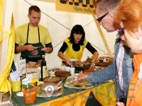 OLJARNA IN MEŠALNICA Jeruzalem SAT d.o.o.-Središče ob Dravi
