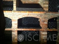 Vinogradništvo Cvitanič - Zamušani 95 Gorišnica Slovenija
