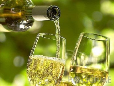 Vinogradništvo Cvitanič - Zamušani 95 Gorišnica Slovenija