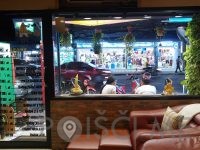 Thai massage, Queen Sofia Massage (2nd Road), Bang Lamung, ChonBuri, 20150,Thailand