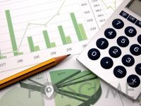 FINANČNE IN RAČUNOVODSKE STORITVE, FRANJA TOMAŽIN s.p.-Raka