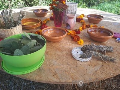 Vrtna pomočnica Tjaša Lipič s.p. Šentilj v slovenskih goricah