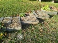 Vrtna pomočnica Tjaša Lipič s.p. Šentilj v slovenskih goricah