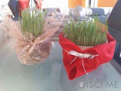 Vrtna pomočnica Tjaša Lipič s.p. Šentilj v slovenskih goricah