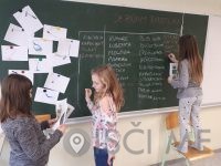 Vrtna pomočnica Tjaša Lipič s.p. Šentilj v slovenskih goricah