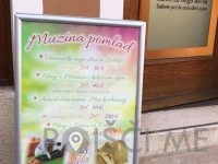 Muza beauty studio Kozmetični salon, Brigita Križman s.p. Koper