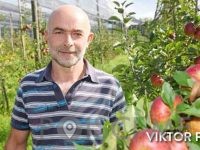 Ekološka kmetija Viktor Pavlič Zdole