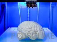 3D-FILAMENTI Jerneja Jurca s.p. Škofljica