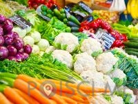 AiShe, trgovina na debelo, Indira Flis s.p.  Velenje
