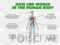 CBD kanabinoid TANJA DAGARIN S.P. Ljubljana