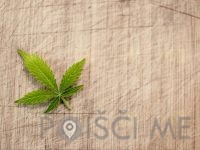 CBD kanabinoid TANJA DAGARIN S.P. Ljubljana-3065621_960_720