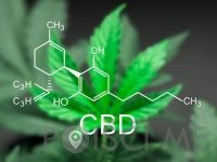 CBD kanabinoid TANJA DAGARIN S.P. Ljubljana-konoplja-cbd-laboratorij