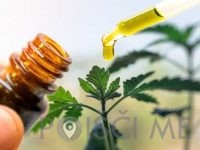 cbd-kapljice-CBD kanabinoid TANJA DAGARIN S.P. Ljubljana