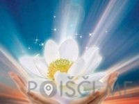 Osebna rast-Lotosov cvet, izobraževanje, MAJA DORNIK s.p. Celje