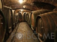 Turistična kmetija Borko-Črešnjevci, Gornja Radgona