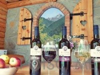 POSESTVO ROUNA Vinska klet Vipavska dolina