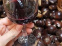 POSESTVO ROUNA Vinska klet Vipavska dolina
