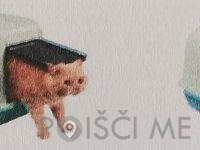 HIŠA DOBROT, prodaja hrane za male živali, Jožica RUBIN s.p., Ormož