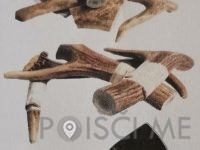 HIŠA DOBROT, prodaja hrane za male živali, Jožica RUBIN s.p., Ormož