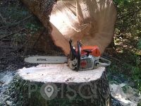 Turboles Sečnja, Prevoz lesa in Spravilo Lesa, Novo mesto