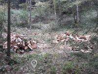 Turboles Sečnja, Prevoz lesa in Spravilo Lesa, Novo mesto