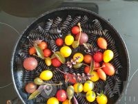 KMETIJA PR’ SONČKU, VILMA KANTE