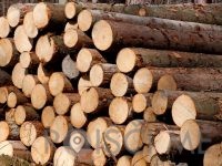 PREVOZ LESA Prevoz hlodov Ugoden prevoz lesa IZLAKAR RUDOLF S.P. Zagorje ob Savi