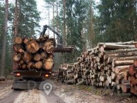 PREVOZ LESA Prevoz hlodov Ugoden prevoz lesa IZLAKAR RUDOLF S.P. Zagorje ob Savi