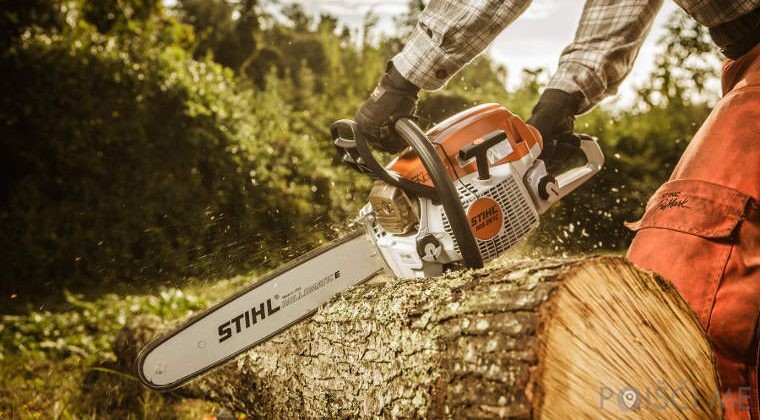 Gozdarstvo in gradnja David Češarek, s.p. Kočevje